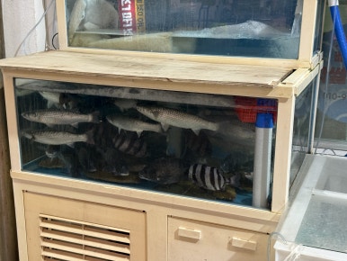 지리산청과 이미지