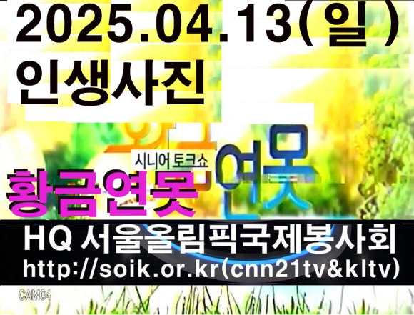 법무법인송강 이미지