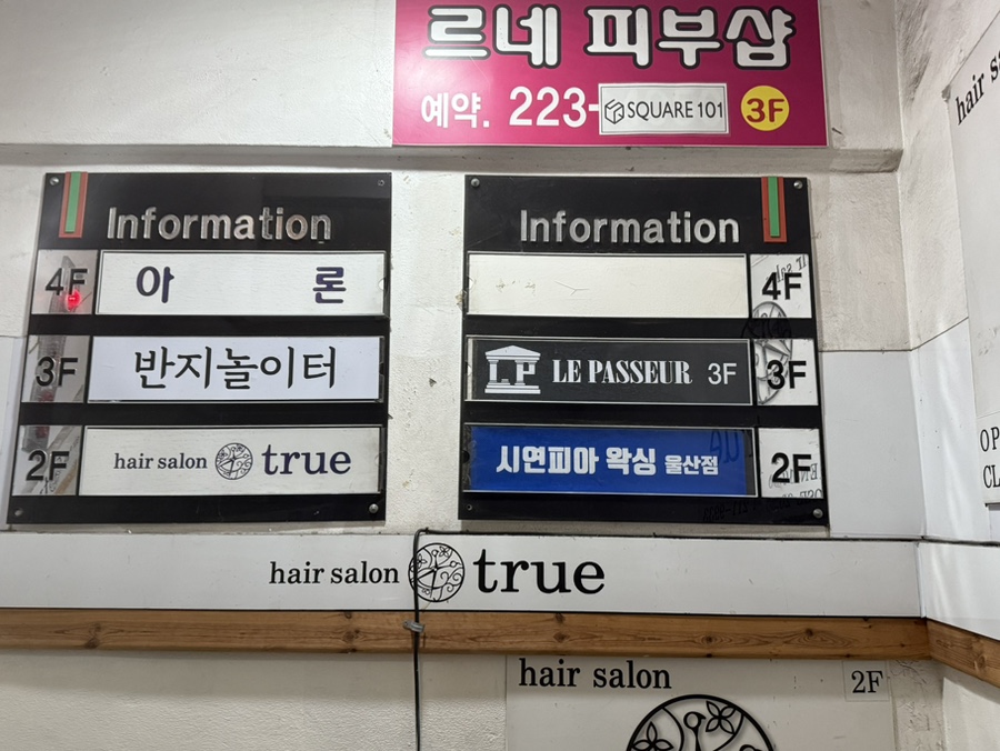 시연피아 이미지