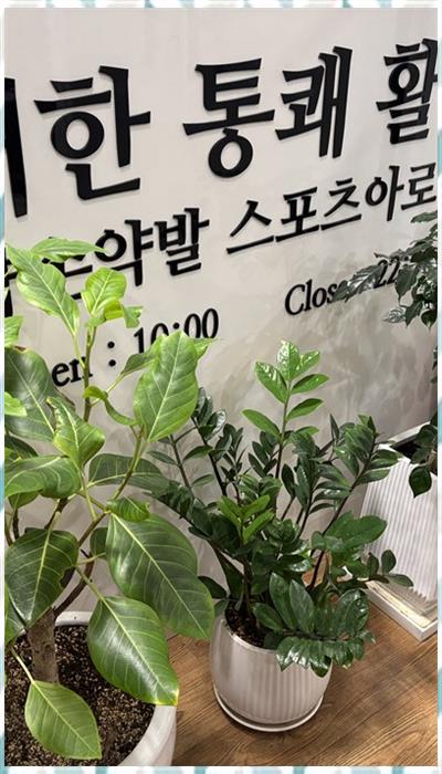 미미체형관리 이미지