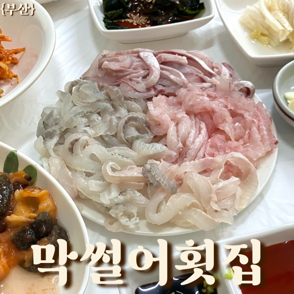 사랑도 막썰어횟집 이미지