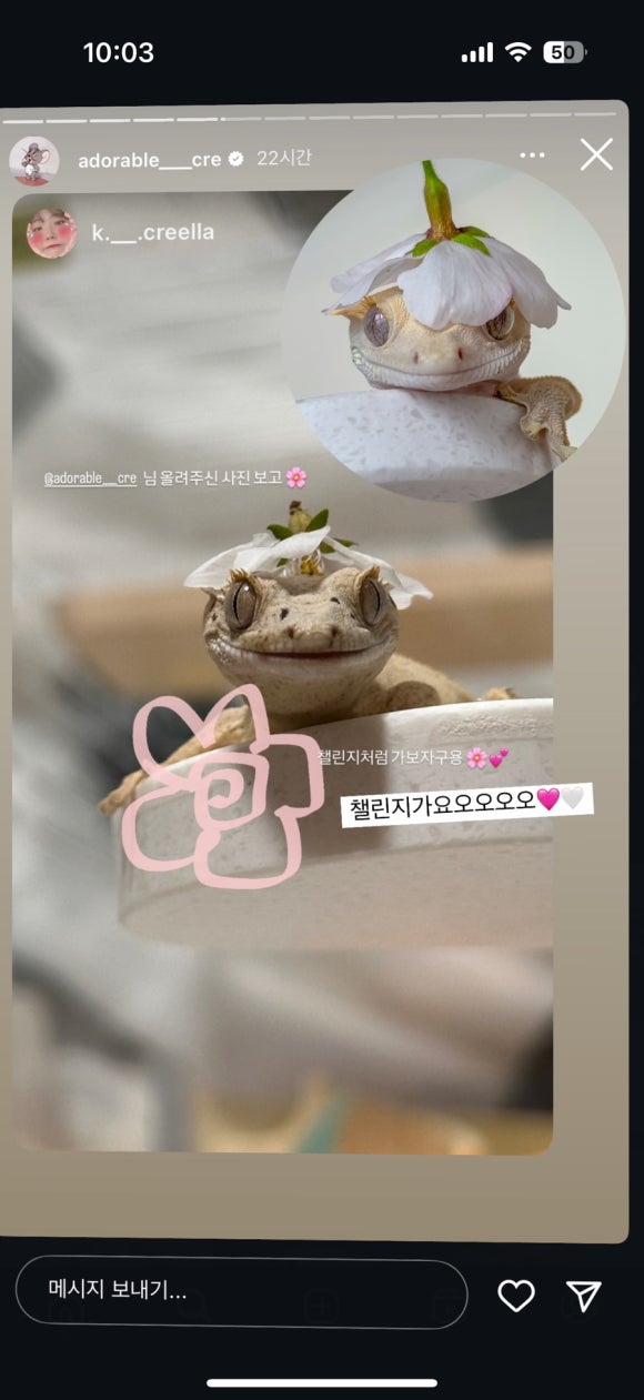 고주망탱이 이미지