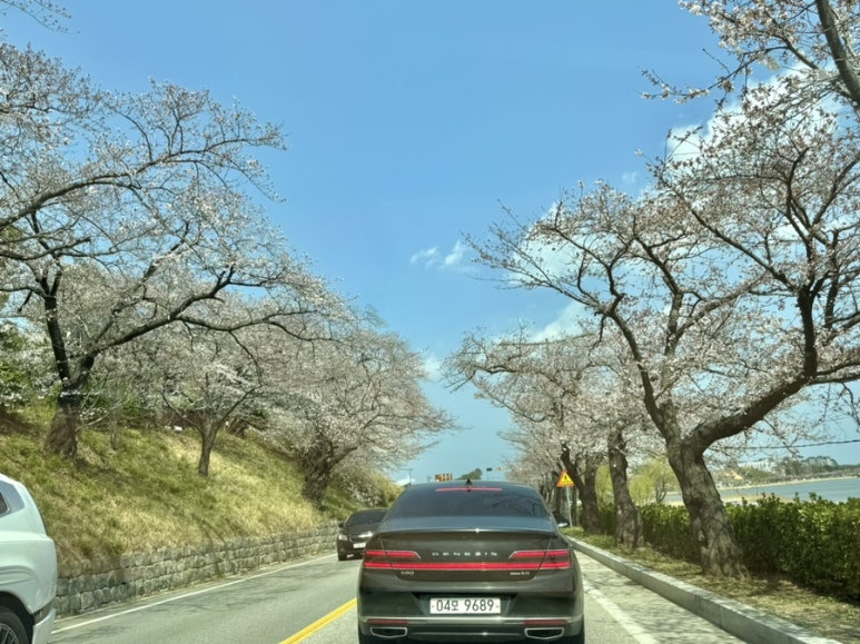 오밀커피 이미지