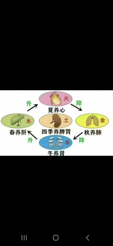 하얼빈테라피 이미지