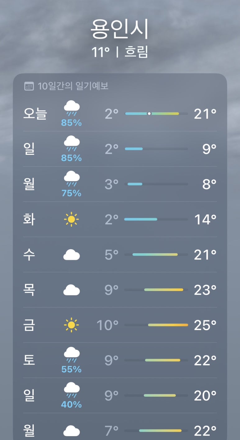 헤이에스 이미지