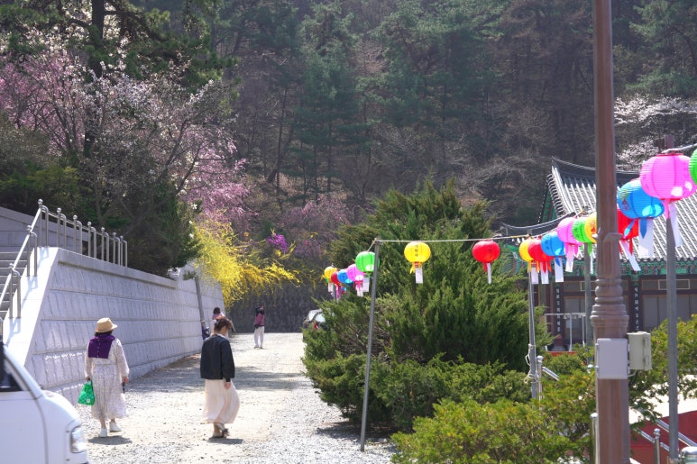 조화불교사 이미지