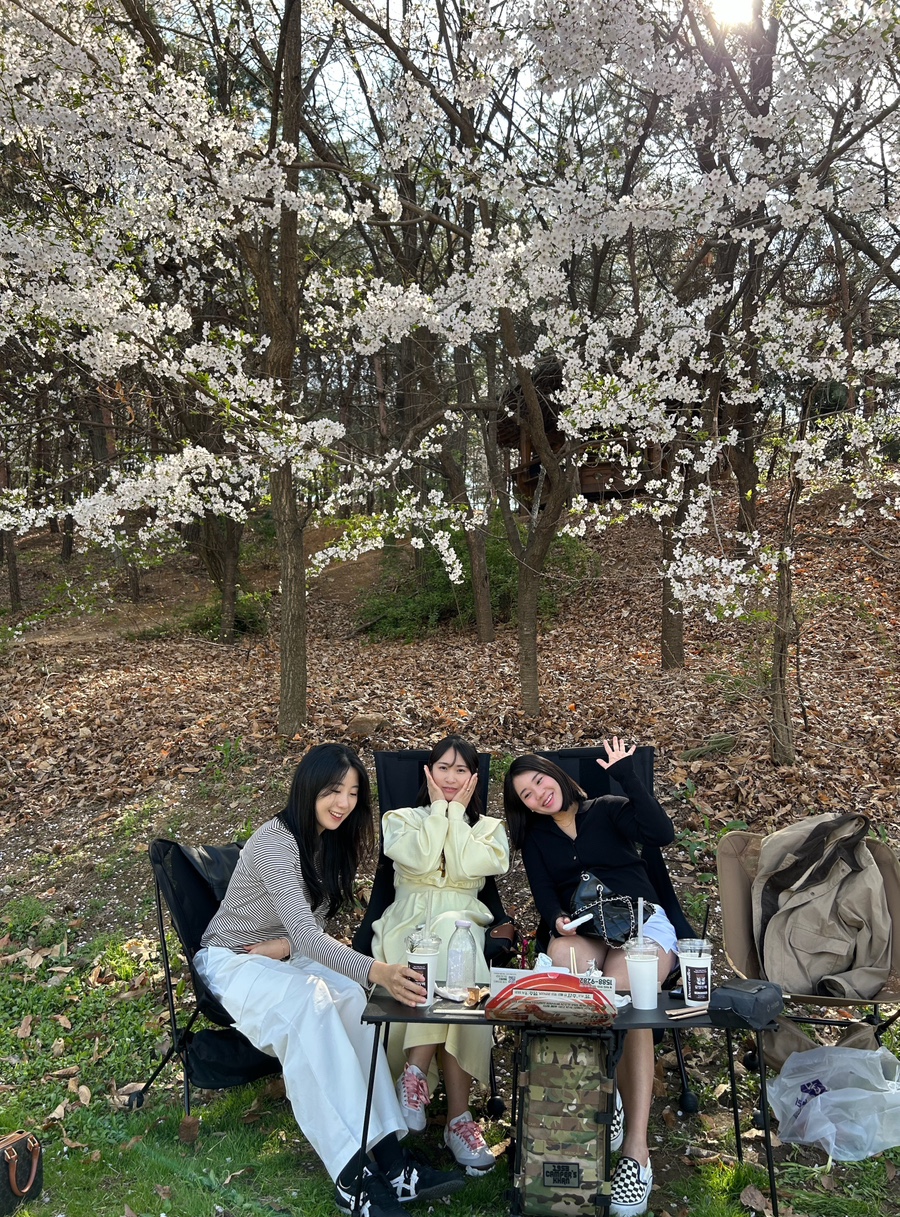시모어케이크 이미지