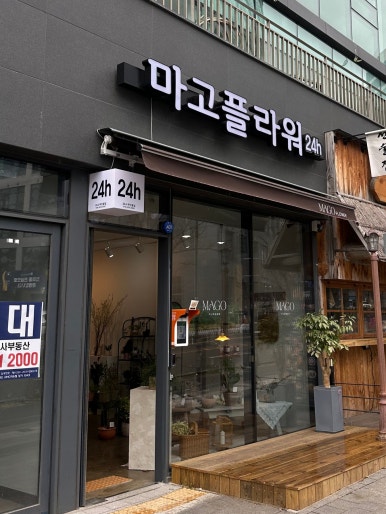 마고플라워 이미지