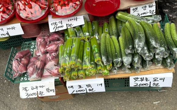 중앙과일야채 이미지