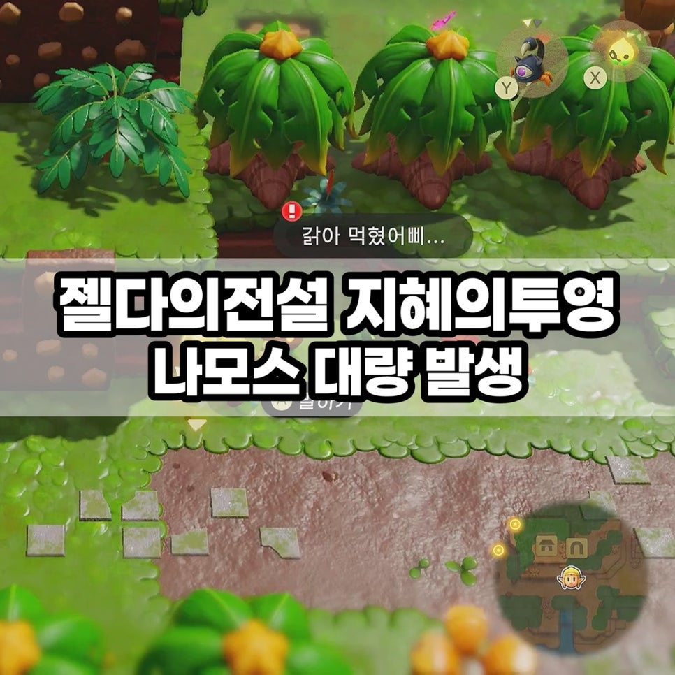 나모스 이미지