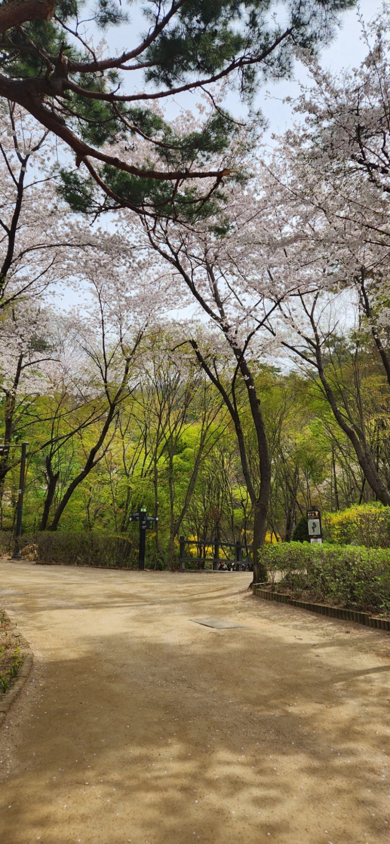 책가도원 이미지