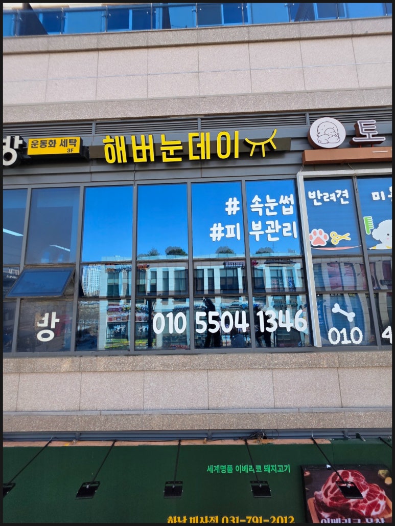 눈데이 이미지