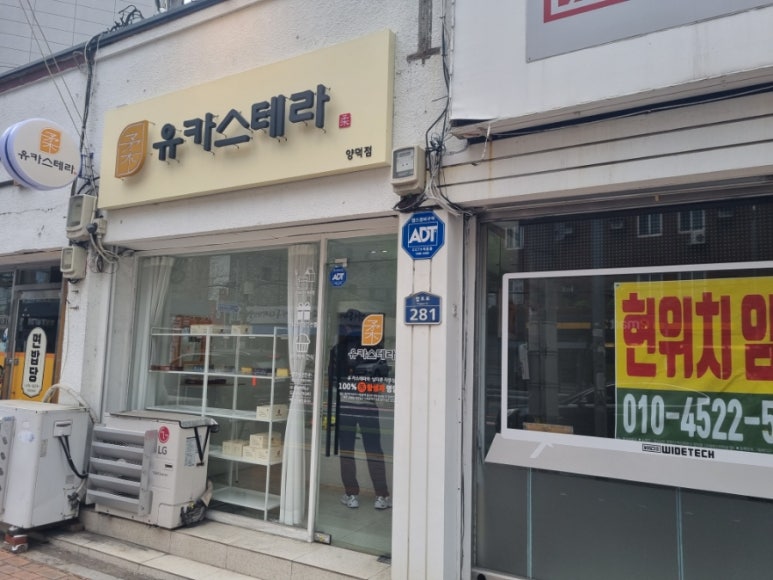 유카스테라 이미지
