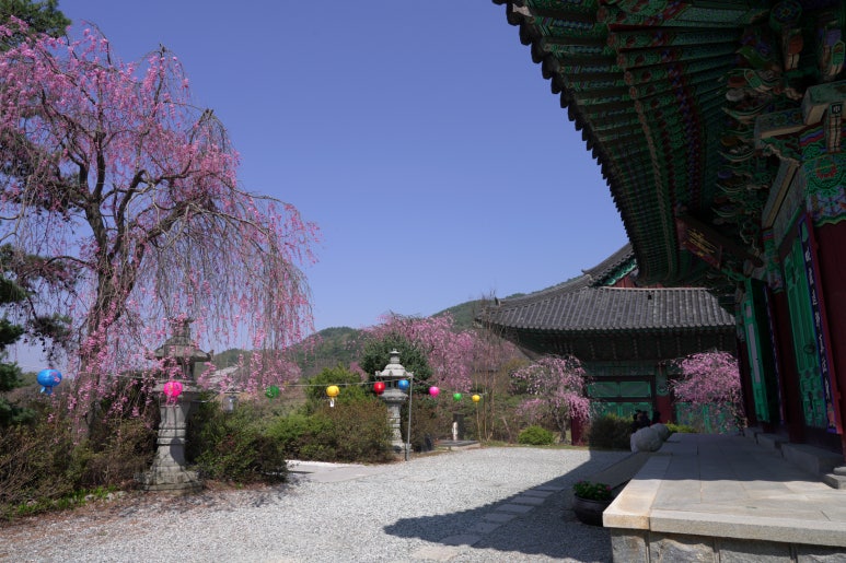 조화불교사 이미지