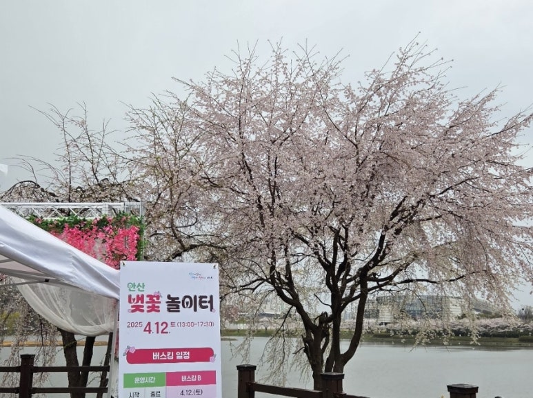 화랑교육개발 이미지