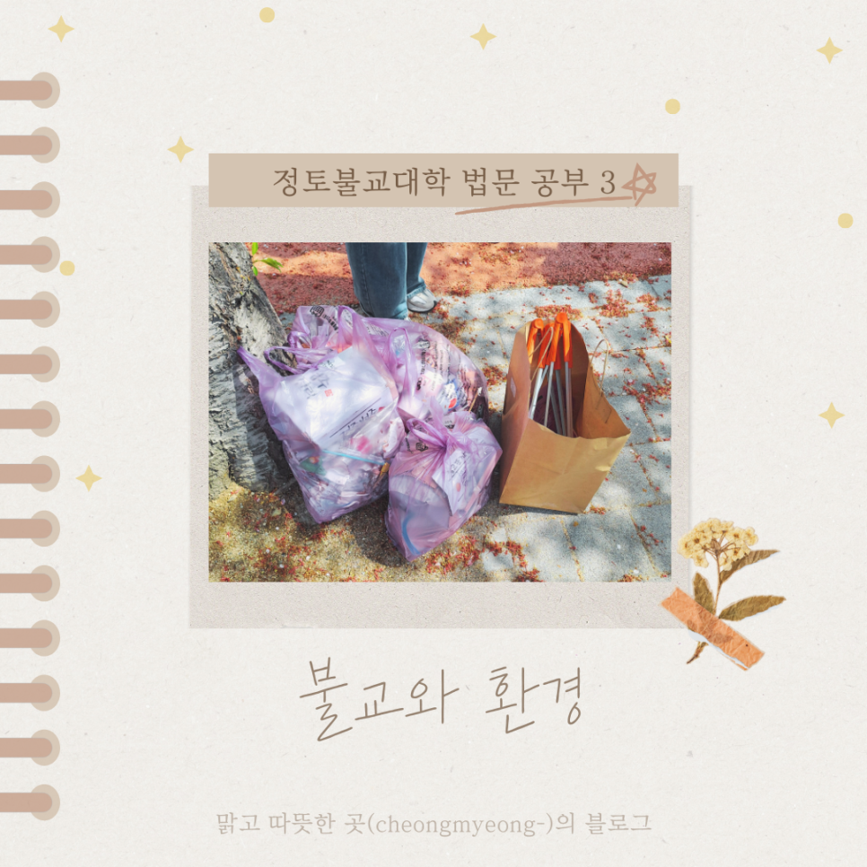 정토환경 이미지