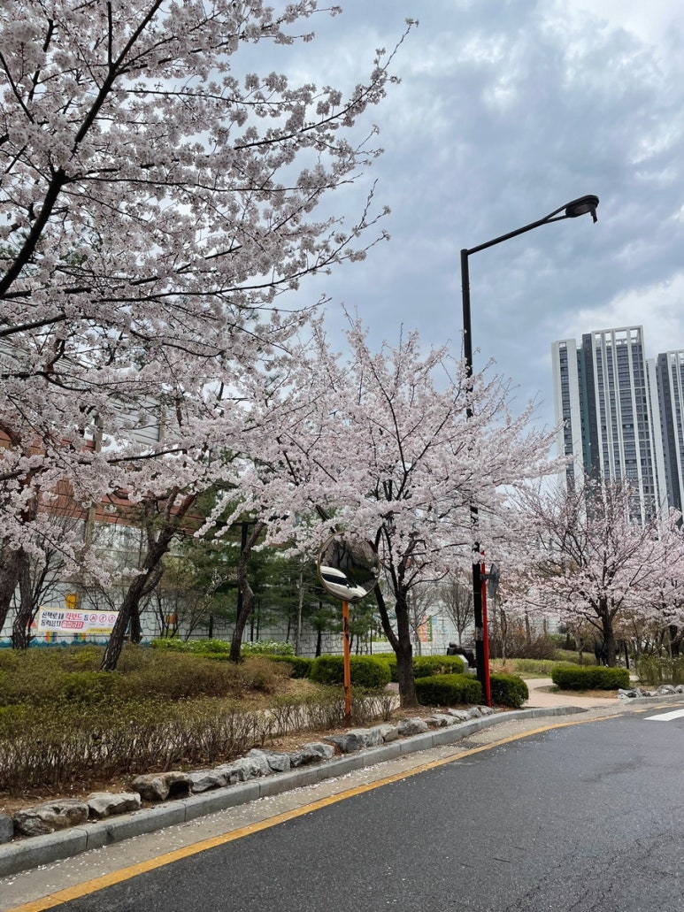 예랑맘스토어 이미지