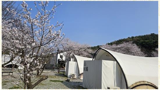 와이제이-이 이미지