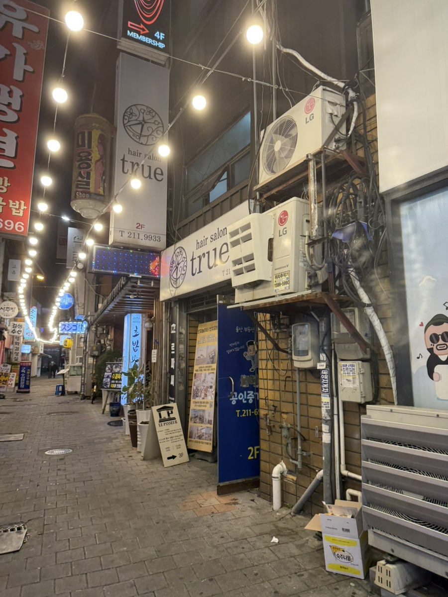 시연피아 이미지