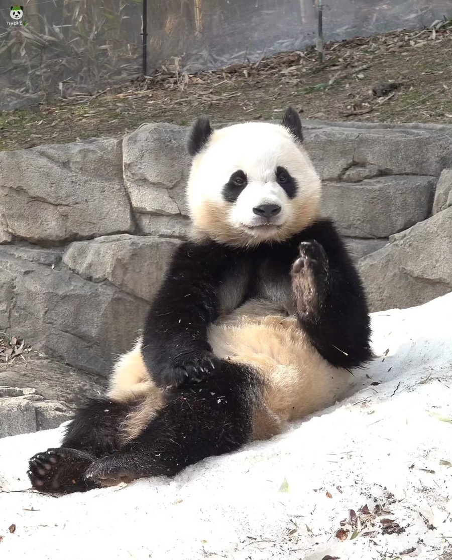 만만 이미지