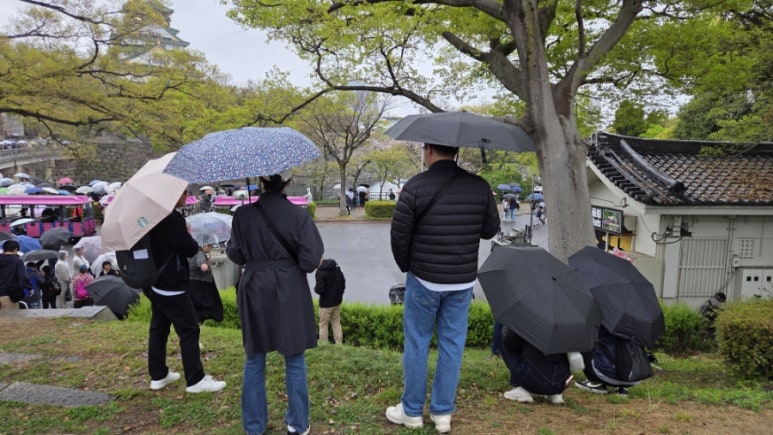 비온바 이미지