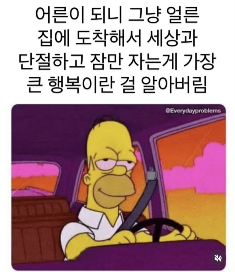 디짐 이미지