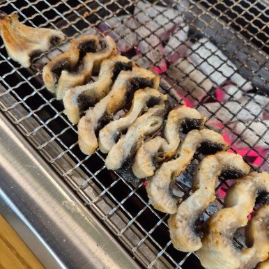 힘센민물장어 이미지