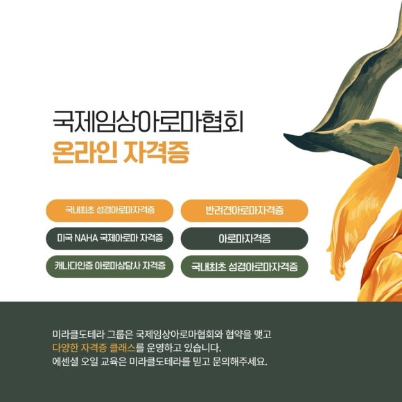 톡톡아로마테라피 이미지