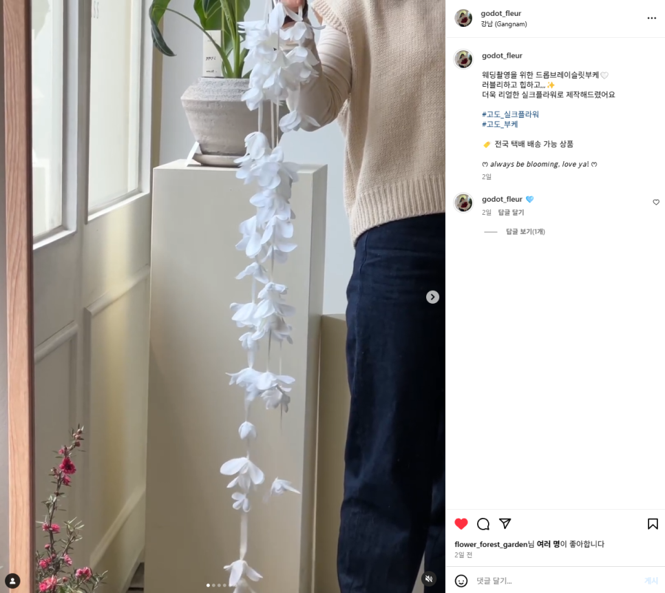 플레르하나 이미지
