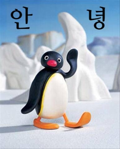 돼슐랭 이미지