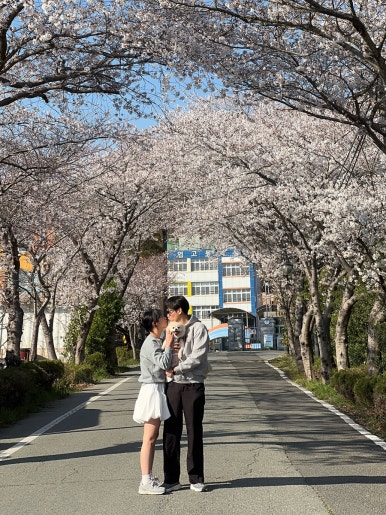 거제여자상업고등학교 이미지
