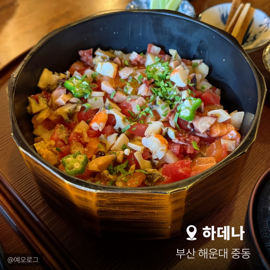 하데나 이미지