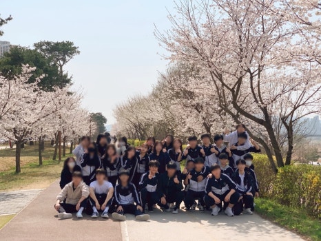 봄봄봄 이미지