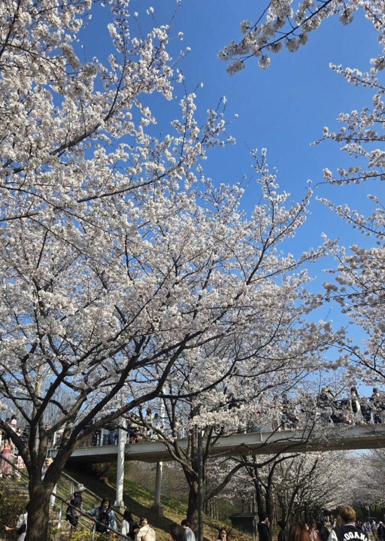 섬타르서울숲 이미지