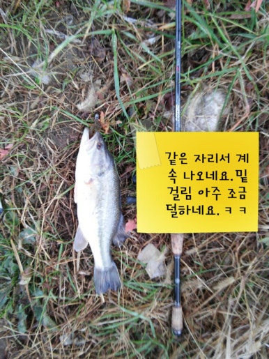금강낚시 이미지