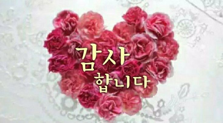 구안 이미지