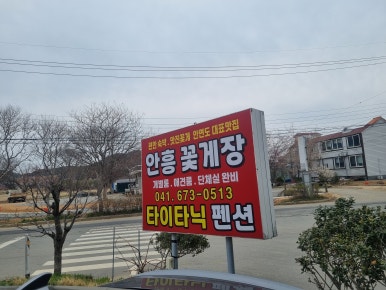 안흥플라워 이미지