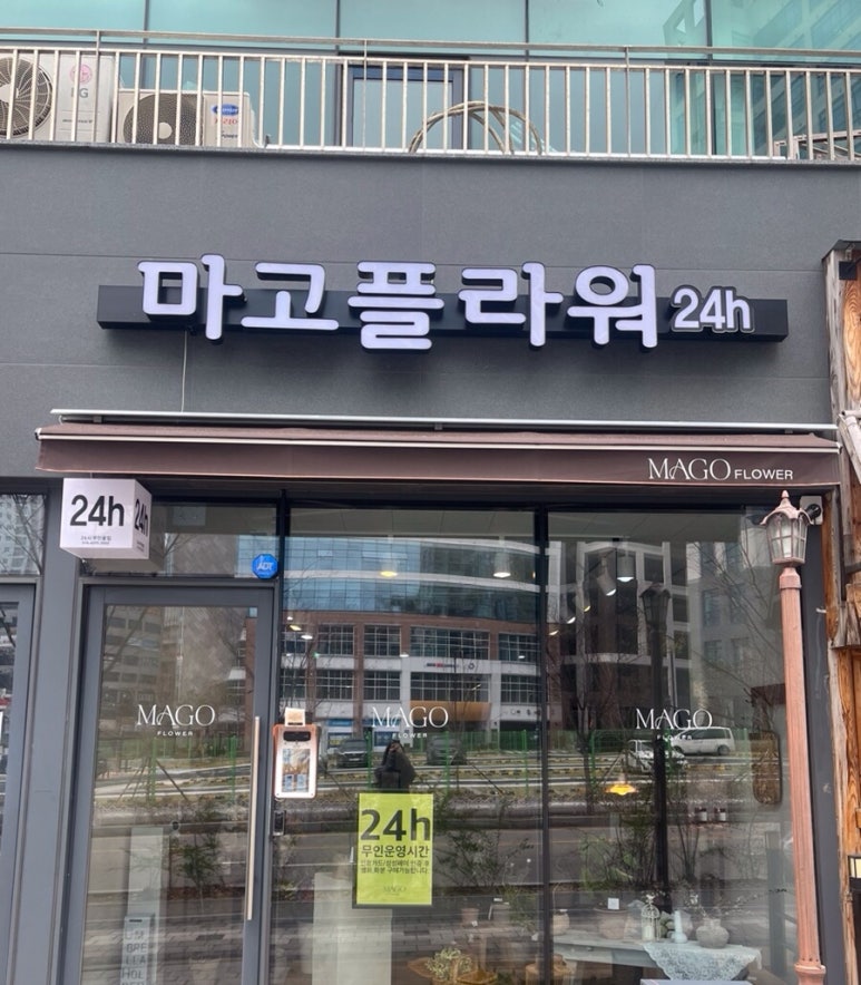 마고플라워 이미지