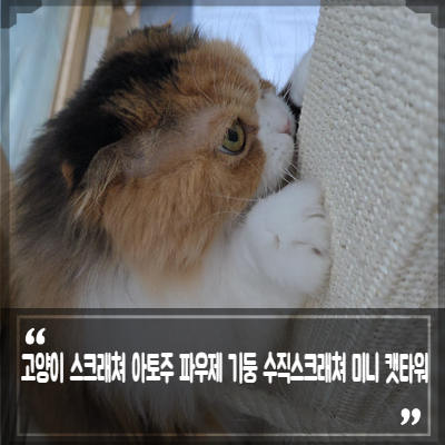(주)파우제 이미지