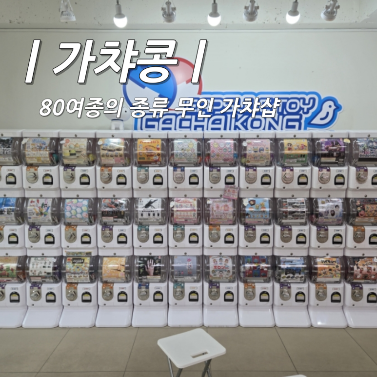 가챠콩 이미지