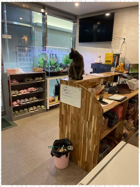 힐링발관리 이미지