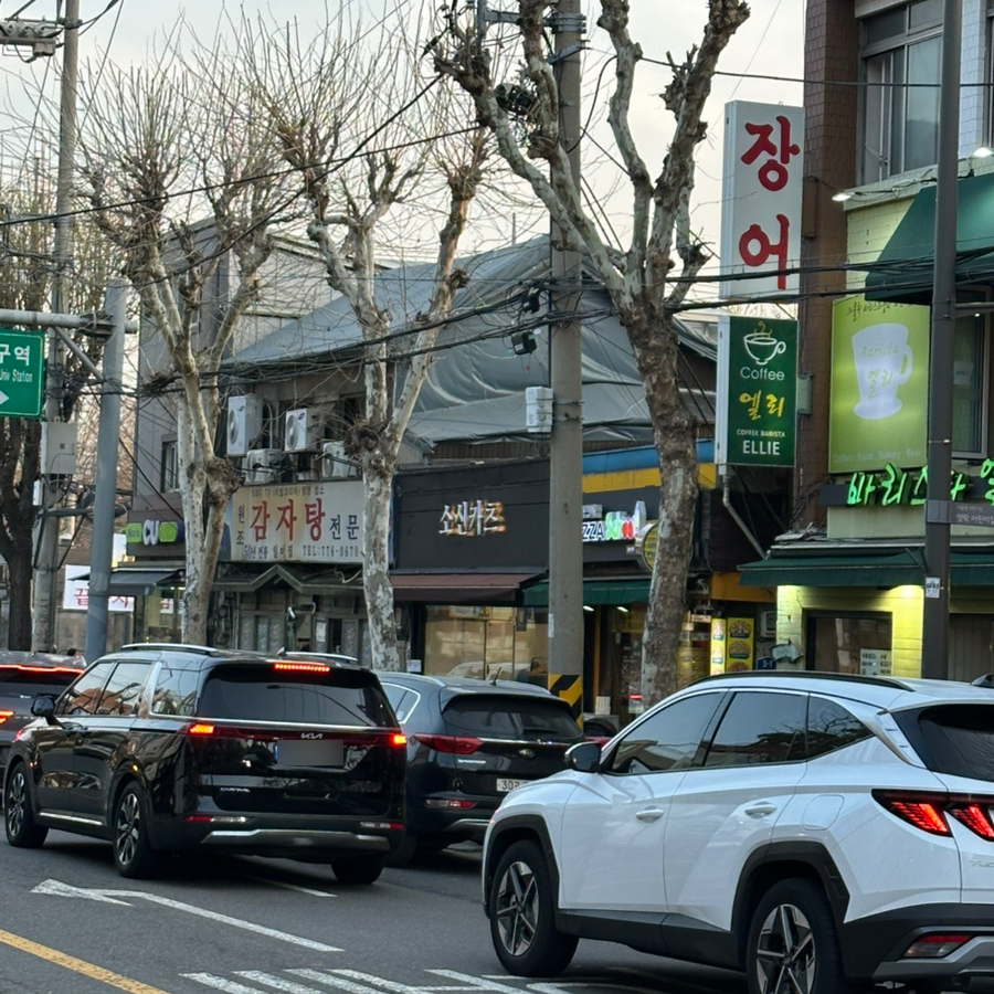 소신카츠 이미지