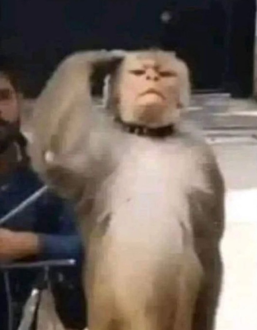 메리제인 카페 이미지