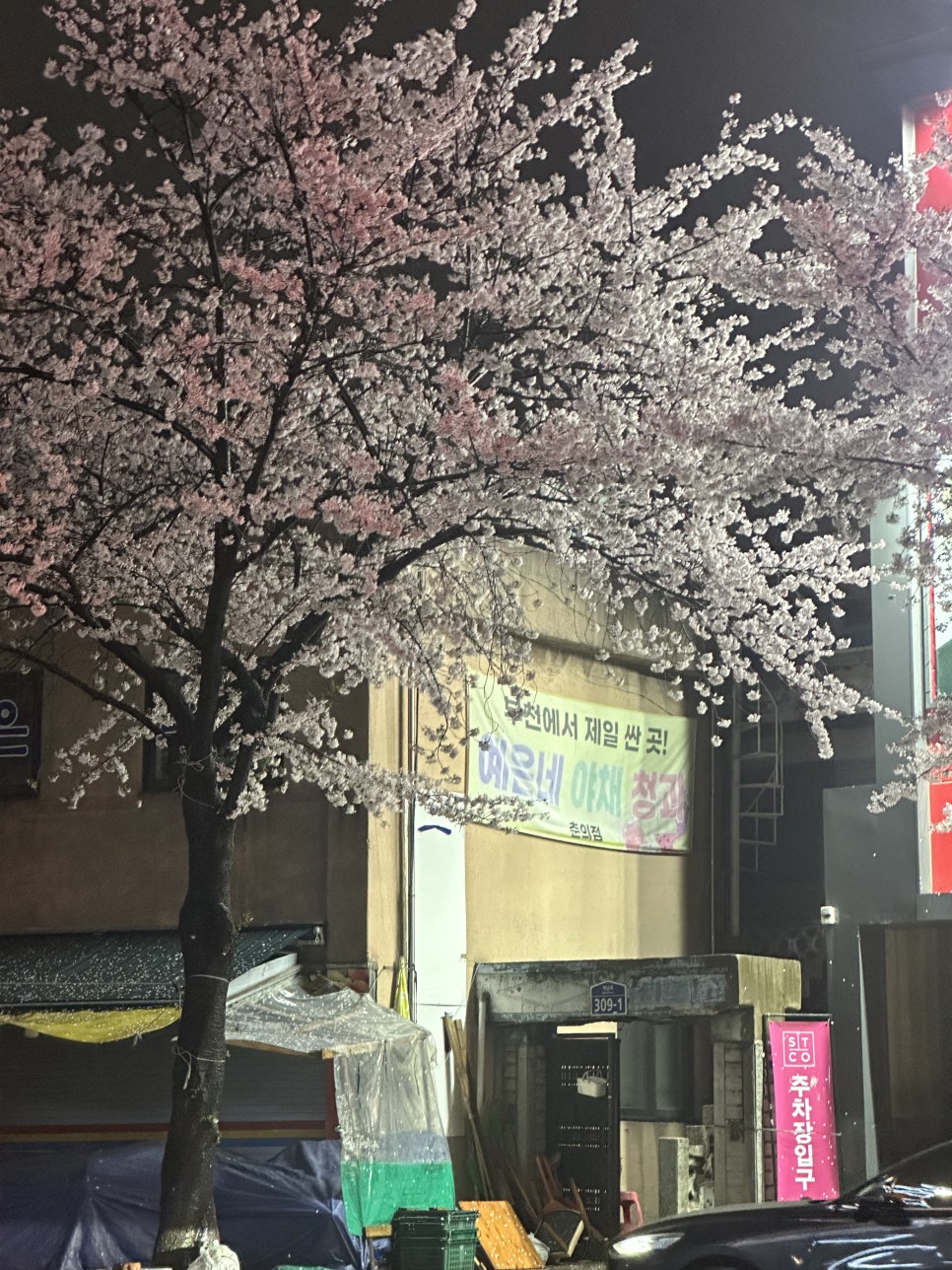 예은네야채청과 이미지