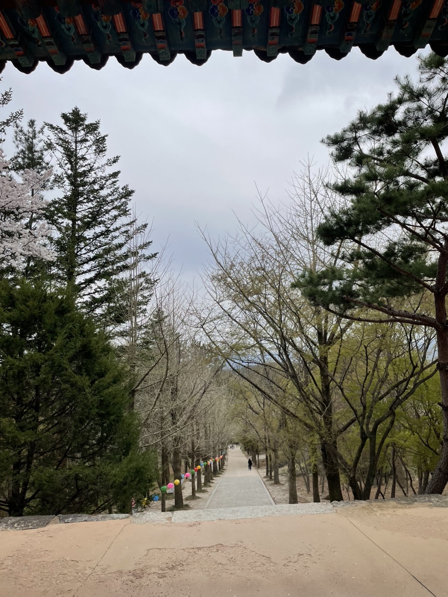 순흥숯불고기 이미지
