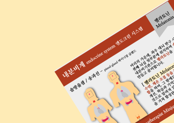 파이니얼 이미지