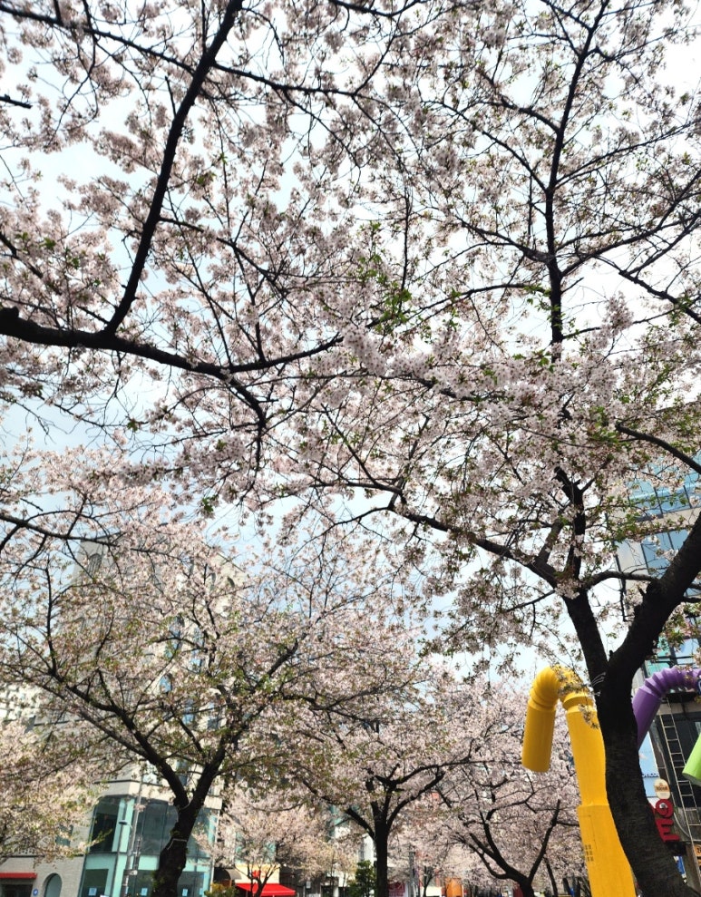 언더독커피 이미지