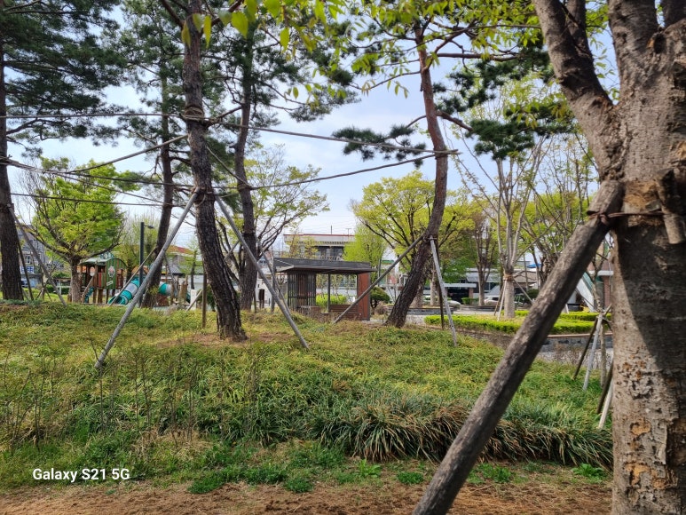 청주막회.아저씨막회 이미지