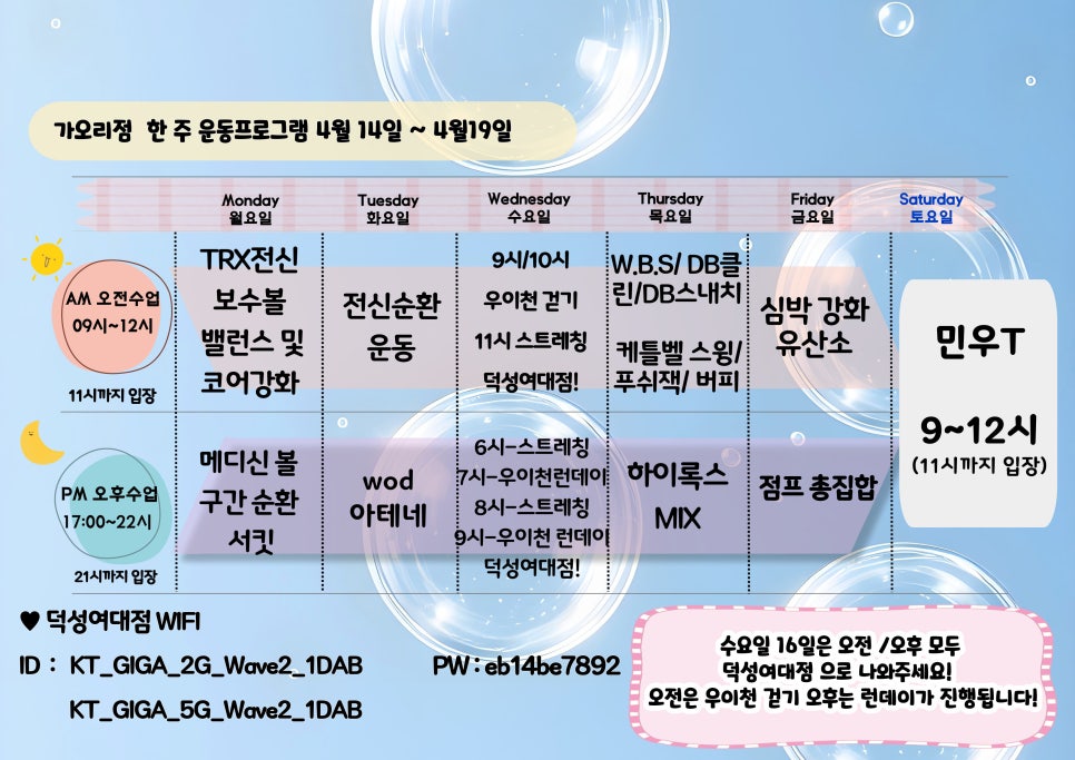 올레이디 19 이미지