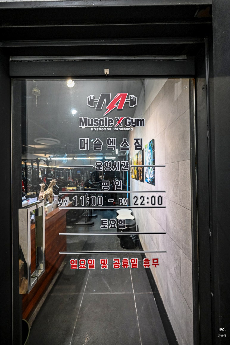 머슬엑스짐 이미지